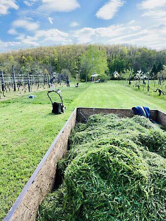 Várgesztes 3. képe