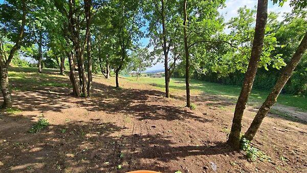 Cserszegtomaj 2. képe