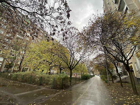 Berda József, Budapest, IV. kerület képe