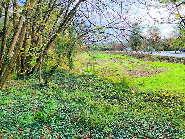 Zalaszentgrót 3. képe