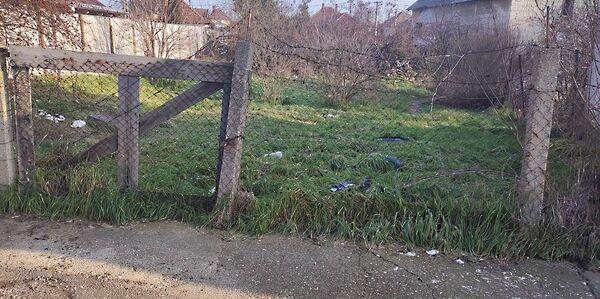 Salamon, Mezőkövesd képe