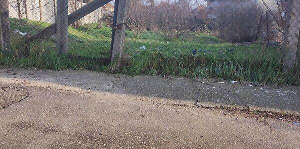 Salamon, Mezőkövesd 2. képe