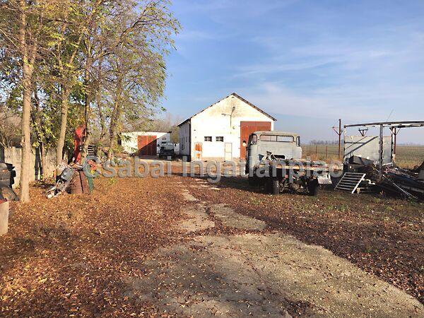 Újkígyós 2. képe