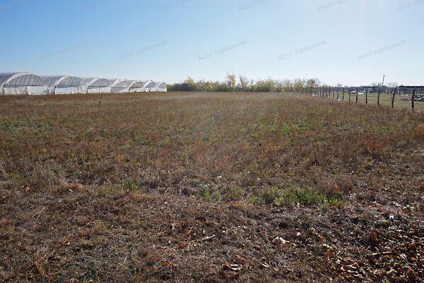 Tiszasziget 2. képe