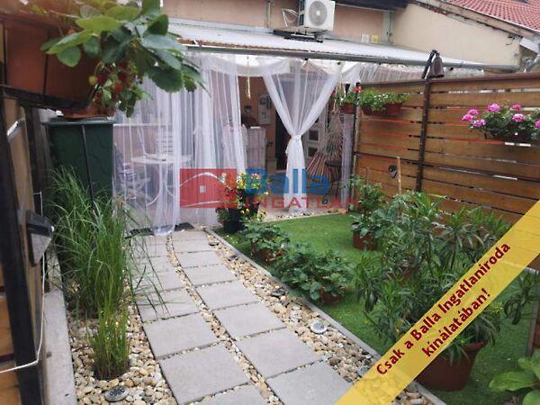 Pirok Gyula utca, Budapest, XX. kerület 2. képe