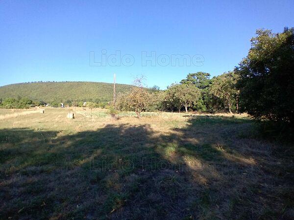 Balatonederics 2. képe