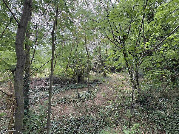 Balatonederics 3. képe