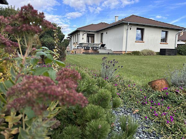 Tulipán, Nárai képe