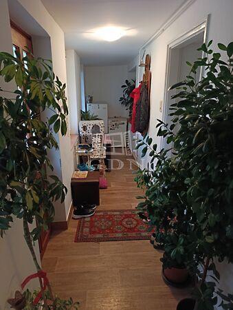 Háromnyúl, Baja 2. képe