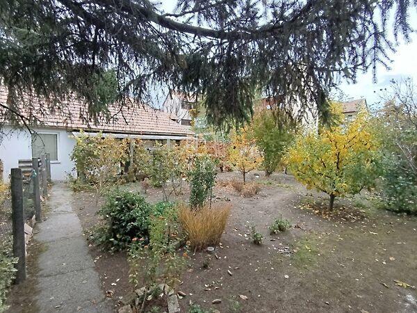 Háromnyúl, Baja 3. képe