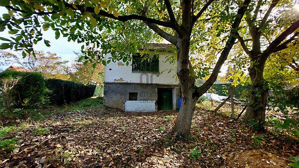 Badacsonytördemic 2. képe