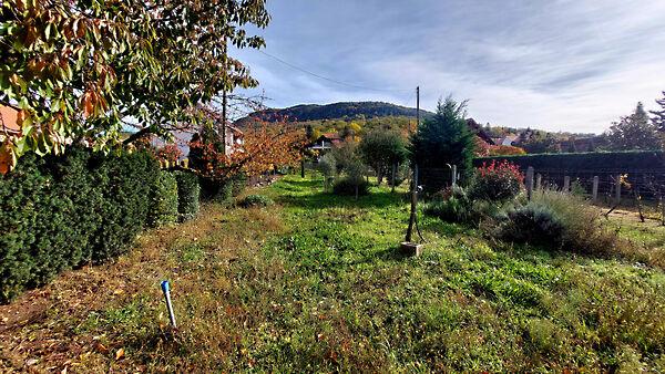 Badacsonytördemic 3. képe