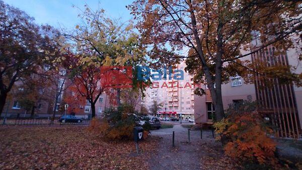 Táncsics Mihály, Dunaújváros képe