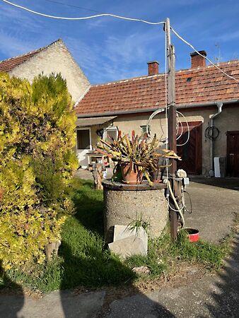 Diófa, Abda 2. képe