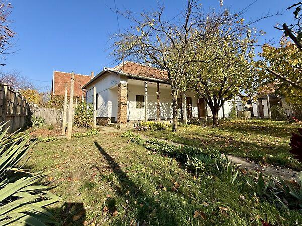 Károlyi, Békéscsaba 2. képe