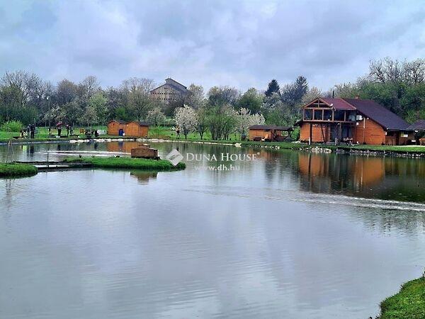 Rákóczi, Pécsvárad 3. képe