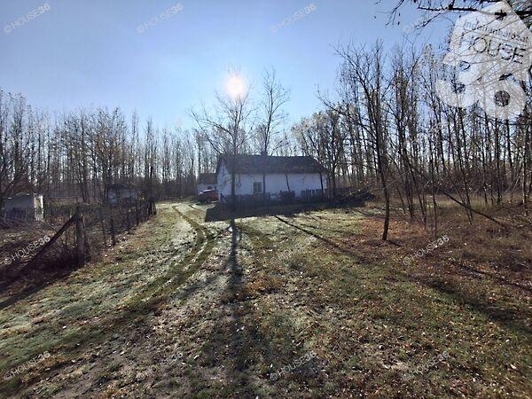 Petőfiszállás képe