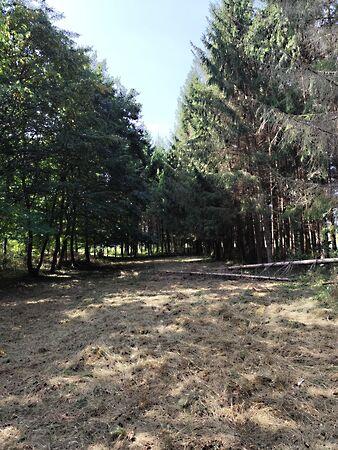 Kossuth  utca 100, Lendvajakabfa 2. képe