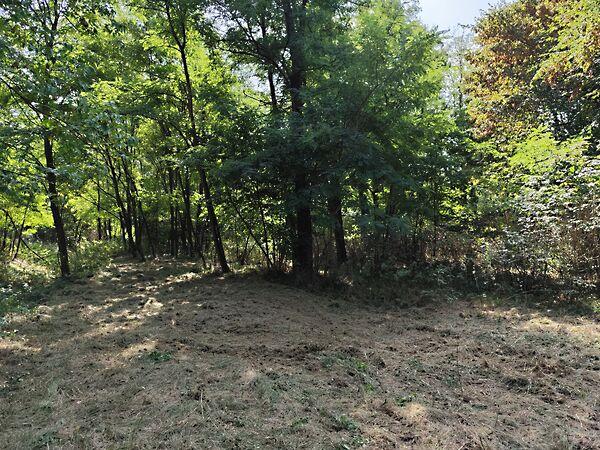 Kossuth  utca 100, Lendvajakabfa 3. képe