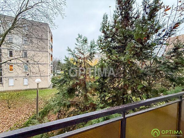 Bartók Béla, Diósd képe