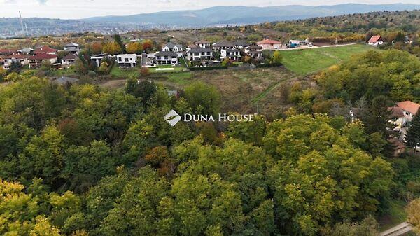 Margittai, Miskolc képe