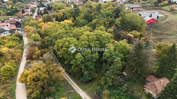 Margittai, Miskolc 3. képe