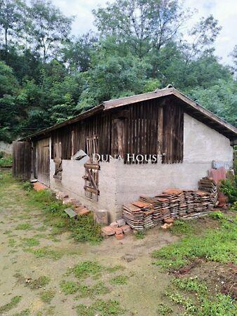 Ady Endre, Harsány 3. képe