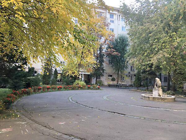 Balaton, Budapest, V. kerület 3. képe