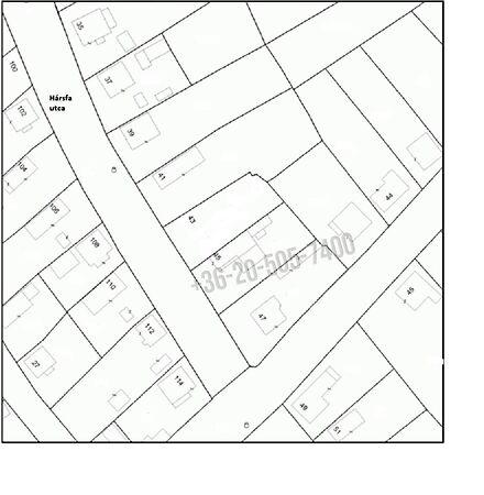 Hársfa, Tiszalúc 2. képe