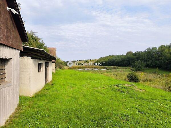 Ady Endre, Harsány 2. képe