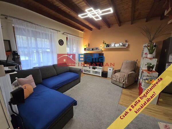 Szigethalom 3. képe