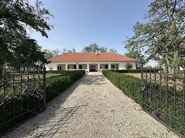 Tiszakécske 2. képe