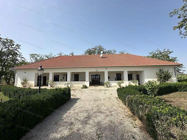 Tiszakécske 3. képe