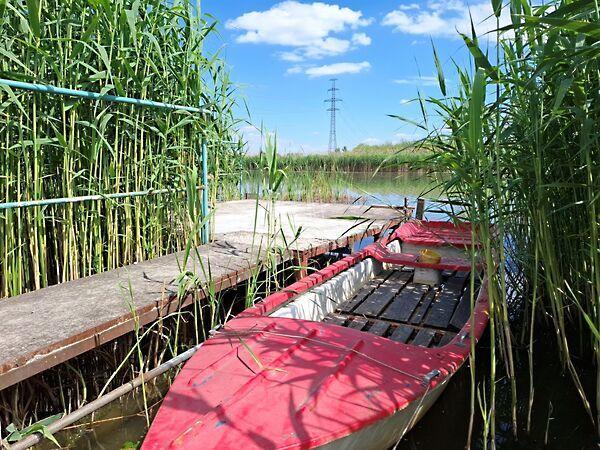 Pest, Szigetcsép 3. képe