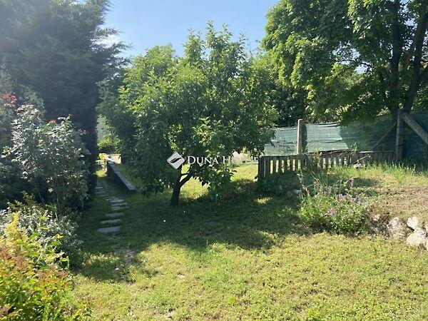 Szőlő, Csabdi 2. képe