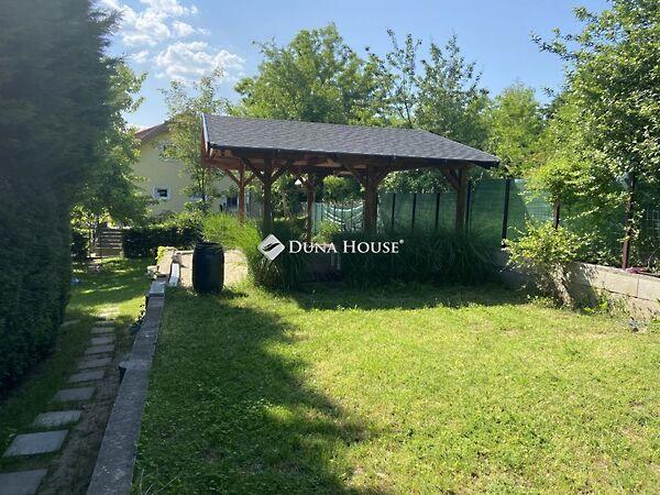 Szőlő, Csabdi 3. képe