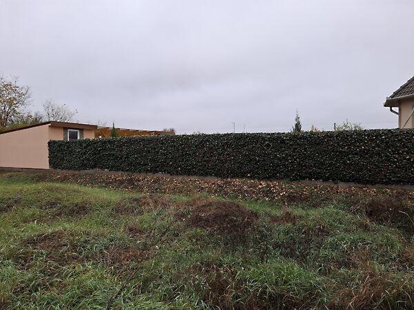 Hőforrás, Balmazújváros 2. képe