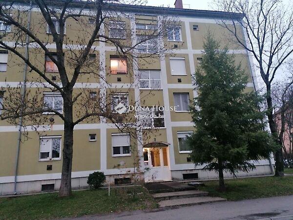 Hajnóczy, Pécs képe