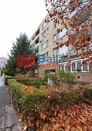 Reviczky, Budapest, IV. kerület 3. képe