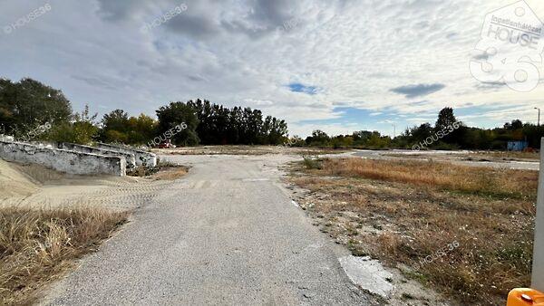 Sarolta, Kecskemét képe