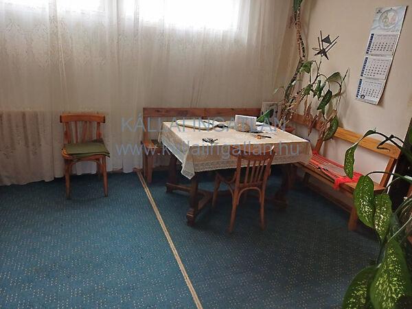 Gávavencsellő képe