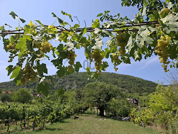 Balatonederics 3. képe