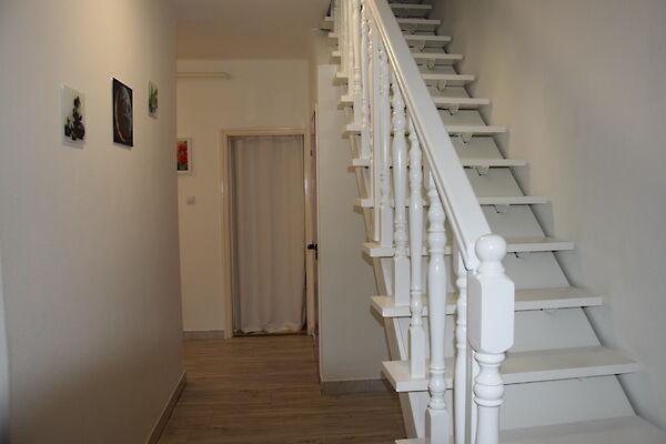 Hársfa, Siófok 3. képe