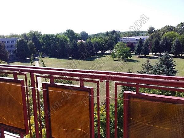 Muskátli, Csongrád 3. képe