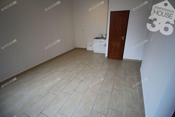 Őz, Kecskemét képe