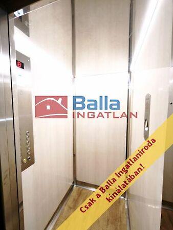 Alsórákos, Budapest, XIV. kerület 3. képe