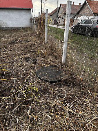 Aulich, Makó 3. képe