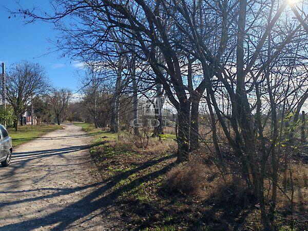 Jó levegő, zöld, Gyömrő képe