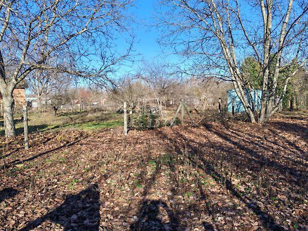 Jó levegő, zöld, Gyömrő 2. képe