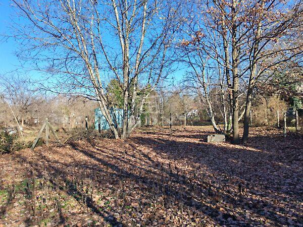 Jó levegő, zöld, Gyömrő 3. képe